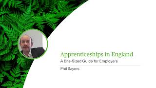 Apprenticeships in England  A BiteSized Guide for Employers  Webinar [upl. by Sybilla]