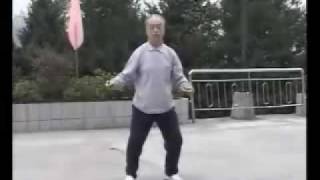 Chen Style Tai Chi First RoutineMa Hong part 1 [upl. by Noitsirhc]