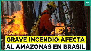 Impacto climático global Incendios forestales y desastres naturales [upl. by Derfliw632]