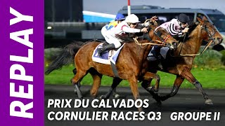 Gold Voice sur le fil dans le Prix du Calvados Cornulier Races Q3 GRII  Vincennes  070124 [upl. by Petta808]