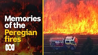 2019 Peregian Fires One year on  2020 Black Summer bushfires  ABC Australia [upl. by Adai288]