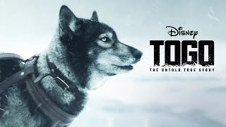 Togo 2019 Movie  Willem Dafoe Ericson Core  Walt Disney Studios Togo Movie Full Facts Review HD [upl. by Abehsat756]