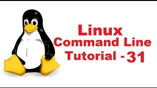 Linux Command Line Tutorial For Beginners 31  cal command [upl. by Westerfield308]