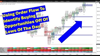 Order Flow Opportunities At The Low Of The Day Using Orderflows Trader For NinjaTrader 8 [upl. by Hadeehsar]