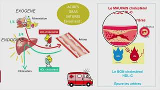 Fromages au lait cru nutrition et santé [upl. by Jeritah640]