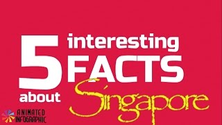 Infographic Maker Singapore 5 interesting facts with infographics video [upl. by Noslien]