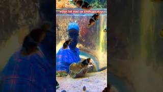 Marine Kingdom Clown fish tamilvlog tamil marinekingdom clownfish [upl. by Petronilla]