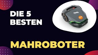 Die 5 Besten Mähroboter Kaufratgeber 2024 [upl. by Eisseb827]