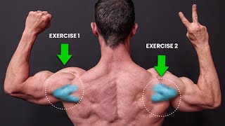 The ONLY 2 Exercises You Need for Rear Delts NO SERIOUSLY [upl. by Einavoj]