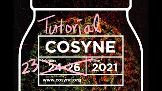 COSYNE 2021  Tutorial on RNN Wrap Up by Kanaka Rajan [upl. by Esinej]