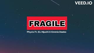 FRAGILEPhyzix Ft ELI Njuchi amp Emmie Deebo lyrics [upl. by Cailly]