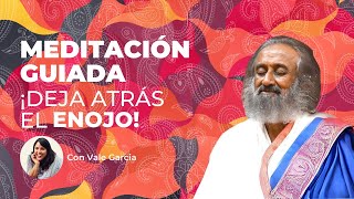 Transforma tu Enojo con la Guía de Meditación de Gurudev [upl. by Anaujit]