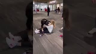 Reunions with puppies reunions puppyreunions puppy heartwarmingdogvideos [upl. by Lehte]