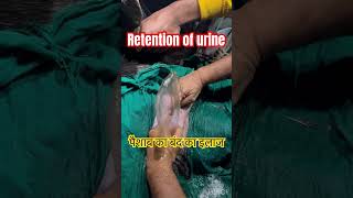 Retention of urinary bladder l dr Umar khan [upl. by Gerc]