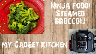 NINJA FOODI 65QT  HOW TO MAKE STEAMED BROCCOLI  MY GADGET KITCHEN  157 [upl. by Hines]