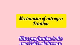 Mechanism of nitrogen fixation shortsfeed shorts youtubeshorts nitrogenfixation [upl. by Ful]