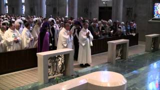 Priestly Ordination 2015 [upl. by Eydnarb]