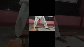 Vidyapati Yog Shibir Daily Classes Clip yoga yogalife yogapractice [upl. by Nwahsan]