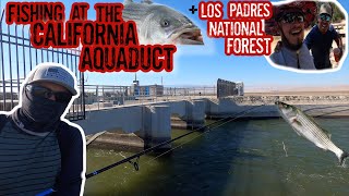 Fishing at the California Aqueduct for the FIRST TIME [upl. by Rellia491]