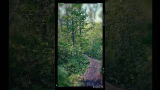 Pike Lake Hike Saskatchewan [upl. by Constantin892]