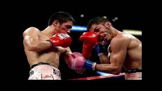 ANTONIO DEMARCO VS JORGE LINARES  FULL FIGHT HIGHLIGHTS TKO [upl. by Etteloc]