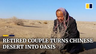 Retired Chinese couple dedicates nearly two decades turning desert into oasis [upl. by Erinna]