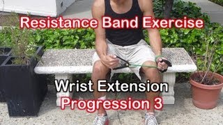 Resistance Band Exercises for Golf Elbow amp Tennis Elbow Tendonitis [upl. by Lorianna368]