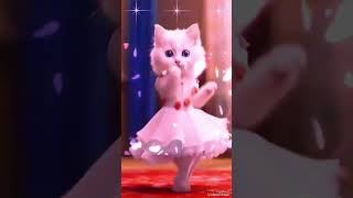 Choo cute cat dance short song telugu funnyshorts [upl. by Uchida]