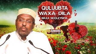 QULUUBTA WAXA DILA amp WAXA NOOLEEYA ᴴᴰ┇Sh Mustafe Xaaji Ismaaciil [upl. by Meyers]