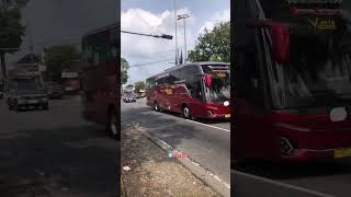 Telolet Bus Vtrans 818 busmania basuri busmaniacomunity buspariwisata [upl. by Alarick]