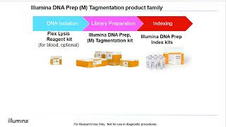 Illumina MiSeq Denature and Dilute Libraries [upl. by Nikolaus]