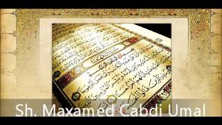 Tafsiir Surah 102 AtTakathur ۞ Sh Maxamed Cabdi Umal [upl. by Anitsirhc771]