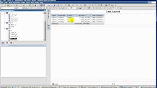 Cognos Tutorial  8 Report Studio  Filters [upl. by Froehlich]