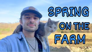 Spring Farm Update  FARM FRISBEE GOLF [upl. by Yesllek668]