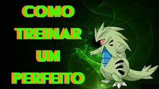 Como Treinar Um Tyranitar Perfeito [upl. by Qirat]