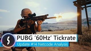 PUBG 60Hz Tickrate Update 14 Netcode Analysis [upl. by Arved439]