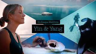 Yin amp Yang  Diving and Spa with Scubaspa Maldives [upl. by Oliric]