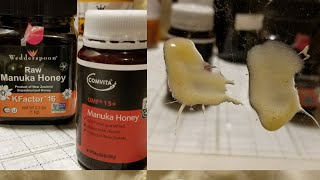 Manuka UMF honey treatment for MRSA [upl. by Assetak555]