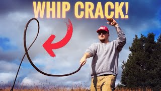 FASTEST WHIP CRACK EVER [upl. by Leterg]