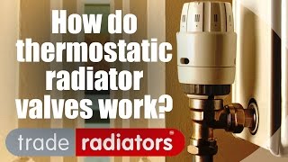 How Do Thermostatic Radiator Valves Work  by Trade Radiators [upl. by Yenettirb489]