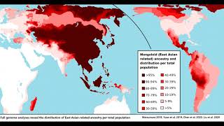 The Mongoloid race [upl. by Niwrek626]