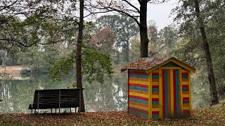 Strandbad Frankenthal Weiher und schwimmbacken สาพามาเดินเล่นในฤดูใบไม้ร่วง [upl. by Grew]