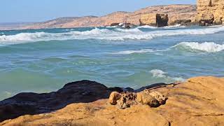 The sea 🌊 through which millions of Algerians crossed ✈️ to Barcelona 🇪🇸 [upl. by Yenhpad]