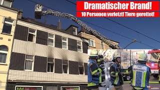 DRAMATISCHER BRAND Feuerwehr rettet Menschen und Tiere aus brennendem Haus 10 Personen verletzt [upl. by Ahselat]