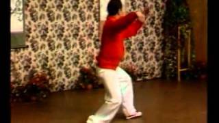 Tai Chi 24 form best tutorial [upl. by Eyaj]