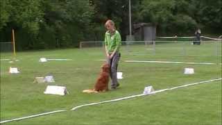 Anouk Rally Obedience Klasse 1 [upl. by Proudfoot]