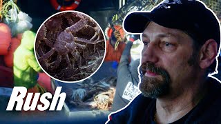 Time Bandit Risks Losing A MILLION Dollars Worth Of Crab  Deadliest Catch [upl. by Annahsit]