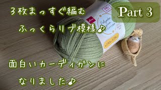 概要欄もご覧ください 100均糸【 Part３ 袖と脇をとじます♪】３枚まっすぐ編む♪サクサク編めるふっくらリブの面白いカーディガン crochet cardigan ～編み物Vlog 229～ [upl. by Caldera]