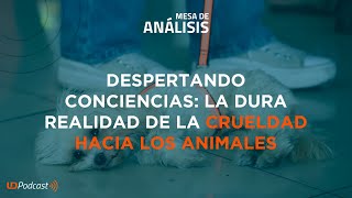 Mesa de Análisis  Despertando conciencias la dura realidad de la crueldad hacia los animales [upl. by Tamer]