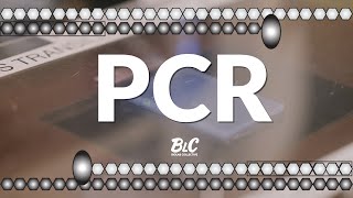 Polymerase Chain Reaction PCR amp Gel Electrophoresis [upl. by Gilboa]